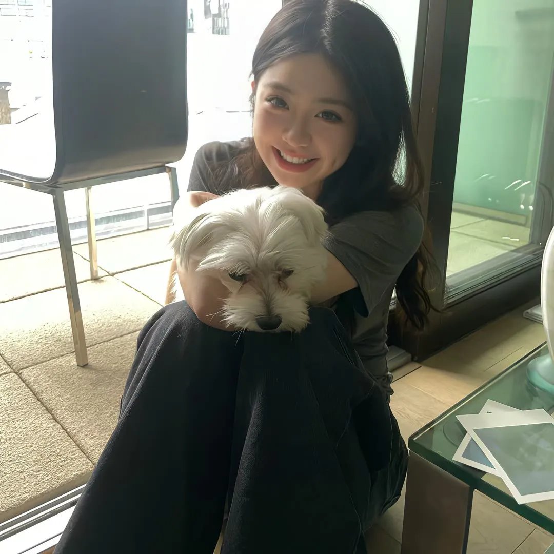 春川救赎 海报